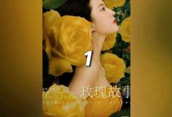 玫瑰故事爆料大全最新,揭秘浪漫传奇背后的秘密与真相