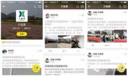天康最新爆料新闻,揭秘行业黑幕，真相令人震惊！