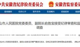 黄山同城最新爆料信息网,揭秘黄山本土新鲜事！