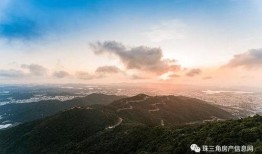 重庆李女士最新爆料电话,揭秘电话背后的惊人真相