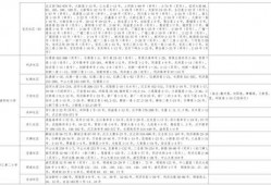 王者胖子爆料视频大全最新,揭秘游戏幕后真相与精彩瞬间