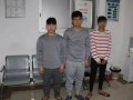 宁波合租爆料事件最新,揭秘邻里纠纷背后的真相与反思