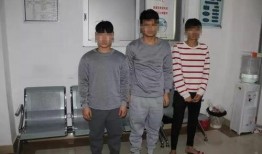 宁波合租爆料事件最新,揭秘邻里纠纷背后的真相与反思